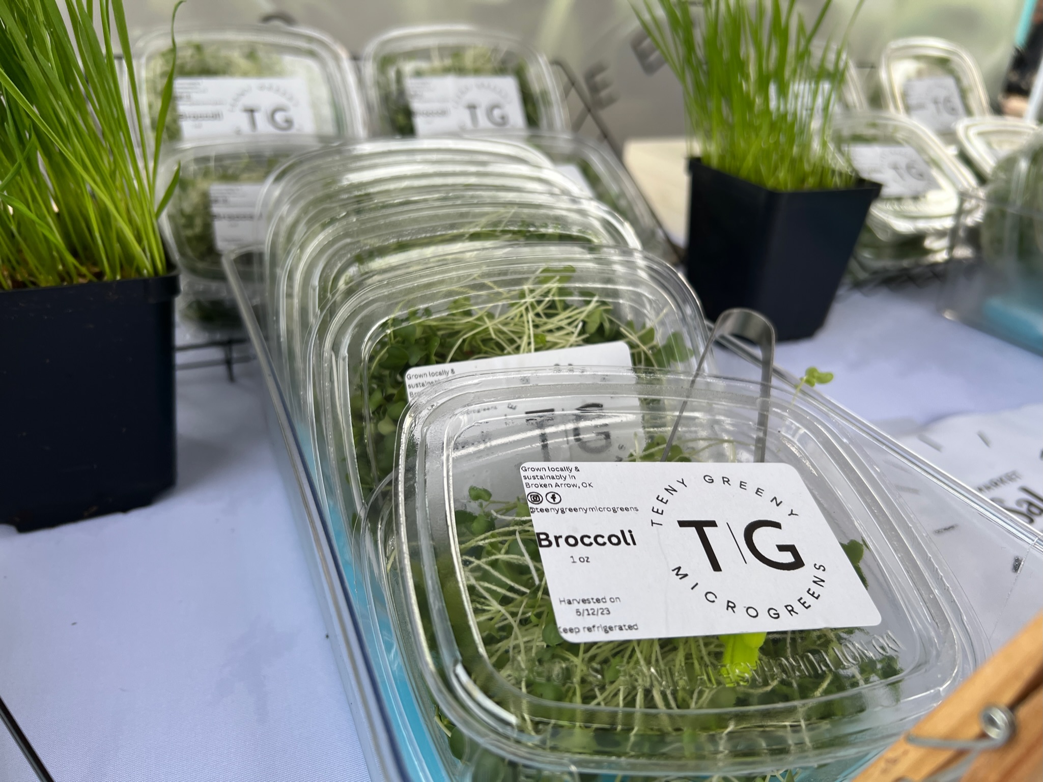 Packaged Teeny Greeny microgreens at the market table